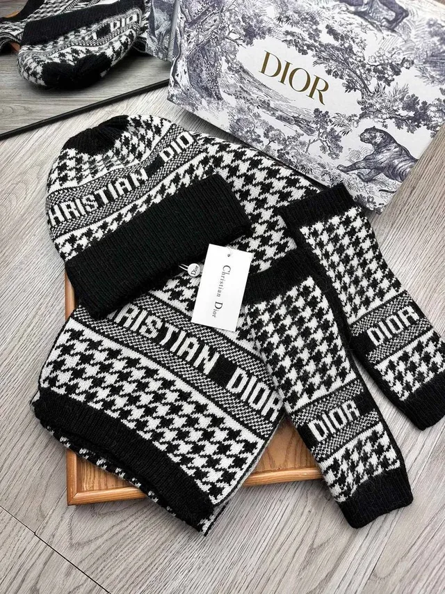 Зимний комплект Christian Dior