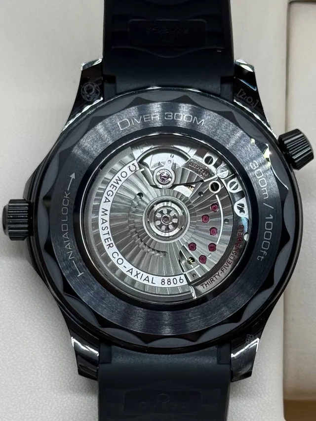 Omega Seamaster 300 Black Black