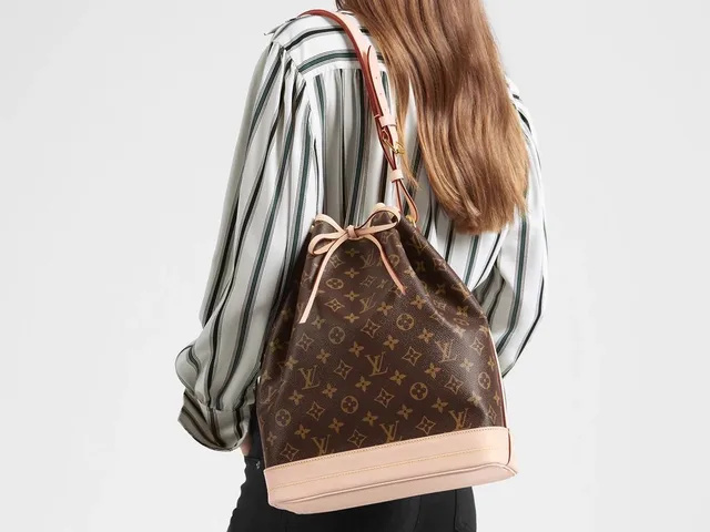 Сумка Louis Vuitton