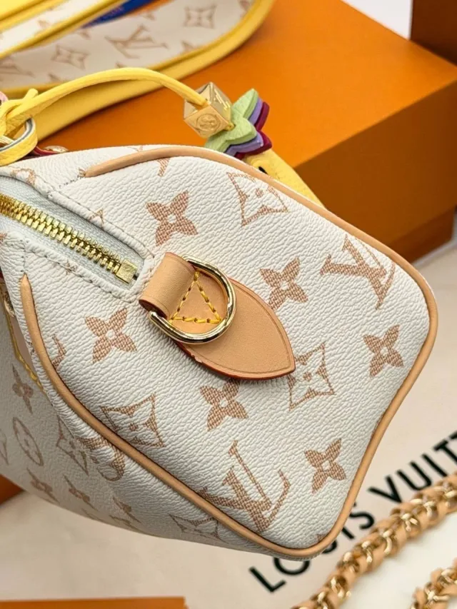 Louis Vuitton Speedy
