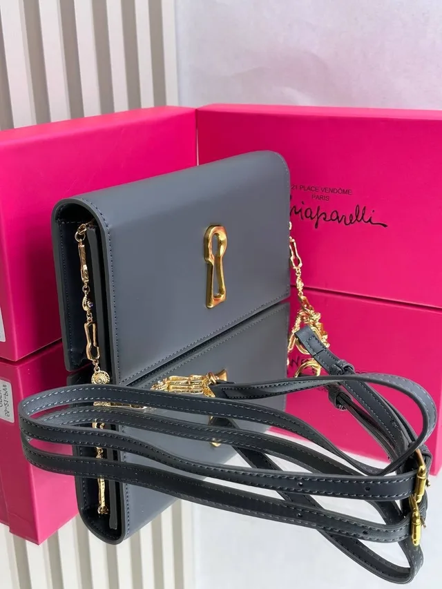 Сумка Schiaparelli