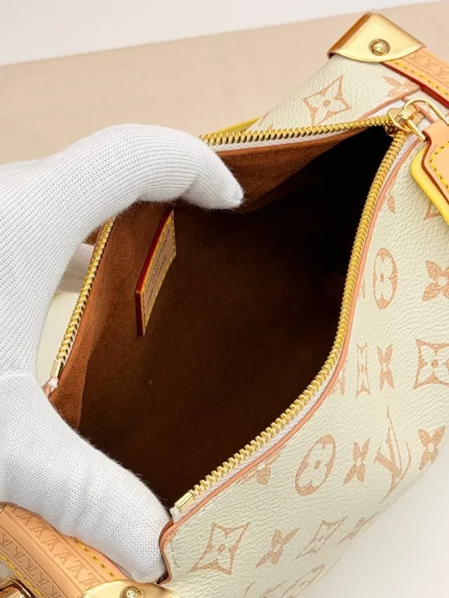 Louis Vuitton Side Trunk MM EW