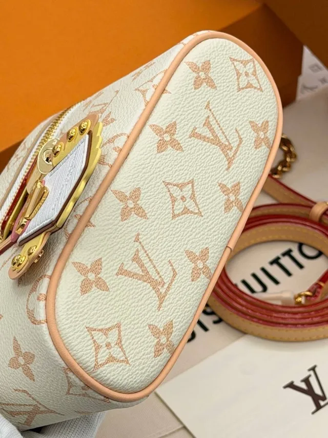Louis Vuitton Vanity Chain Pouch