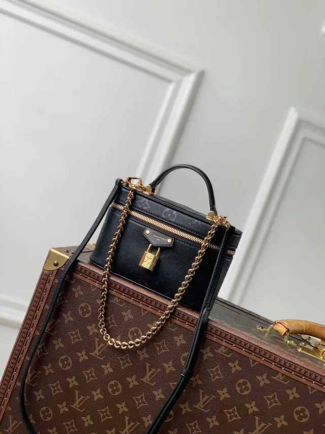 Сумка Louis Vuitton Vanity