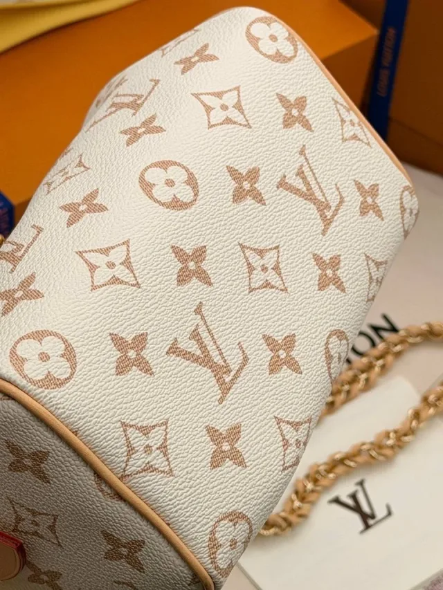 Louis Vuitton Speedy