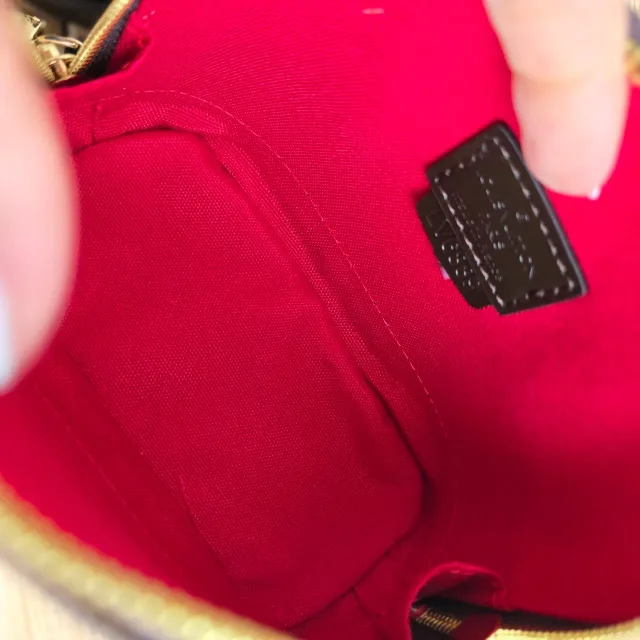 Сумка Louis Vuitton Mini