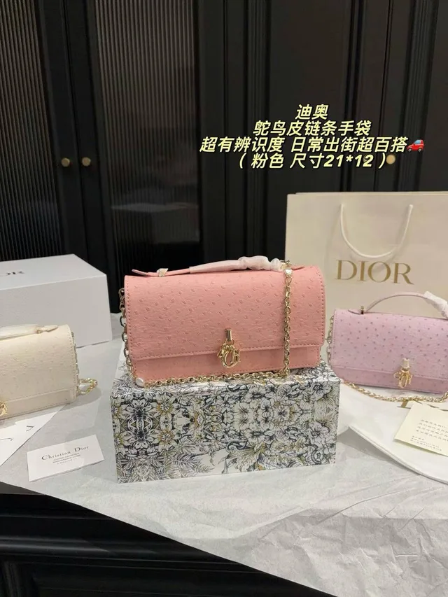 Сумка Christian Dior