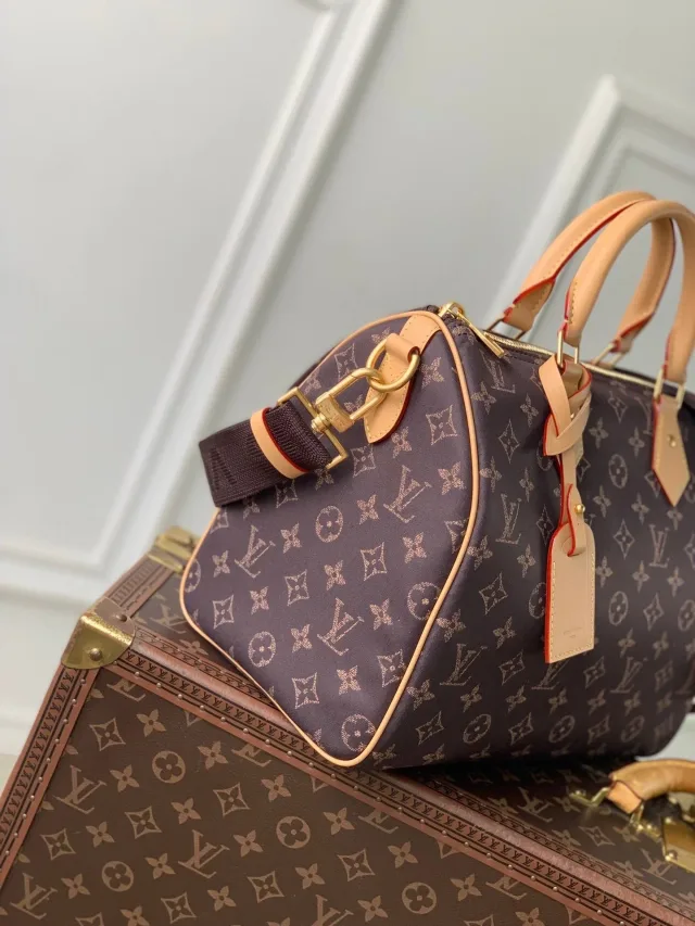 Сумка Louis Vuitton
