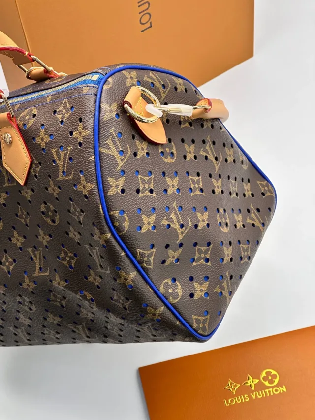Сумка Louis Vuitton
