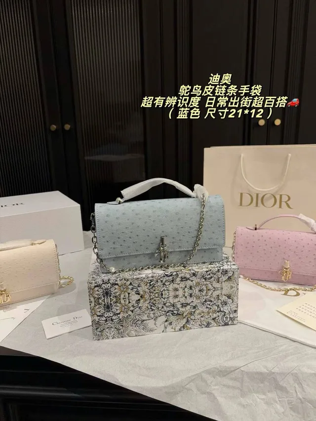 Сумка Christian Dior