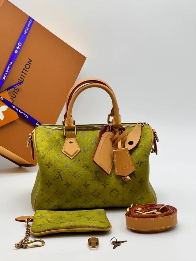 Сумка Louis Vuitton