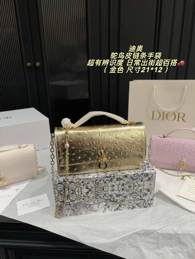 Сумка Christian Dior