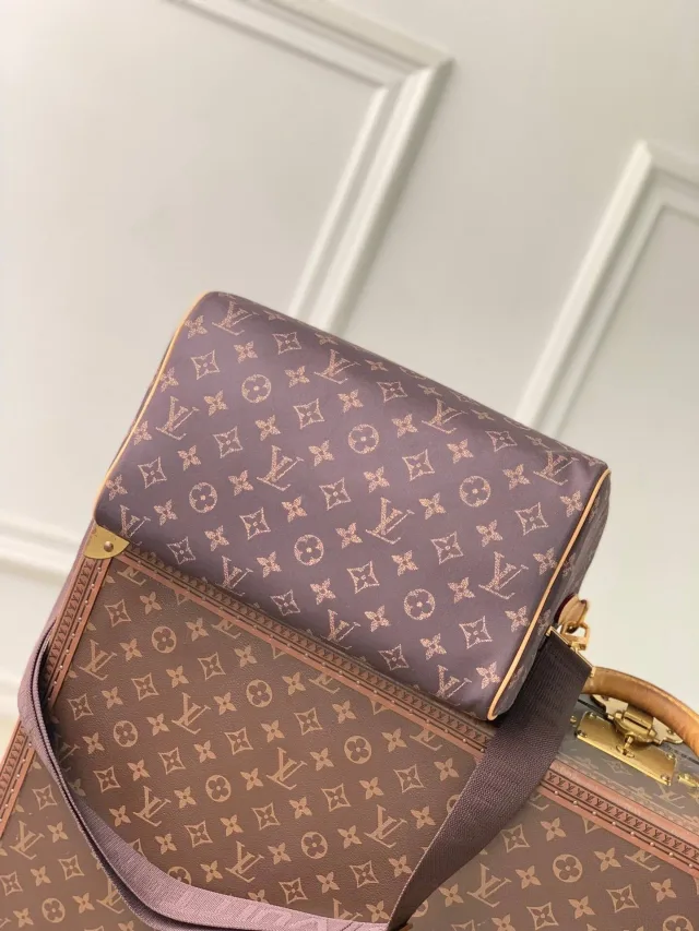 Сумка Louis Vuitton