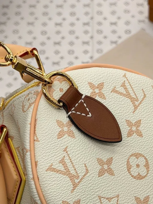Louis Vuitton Speedy Bandoulière 25
