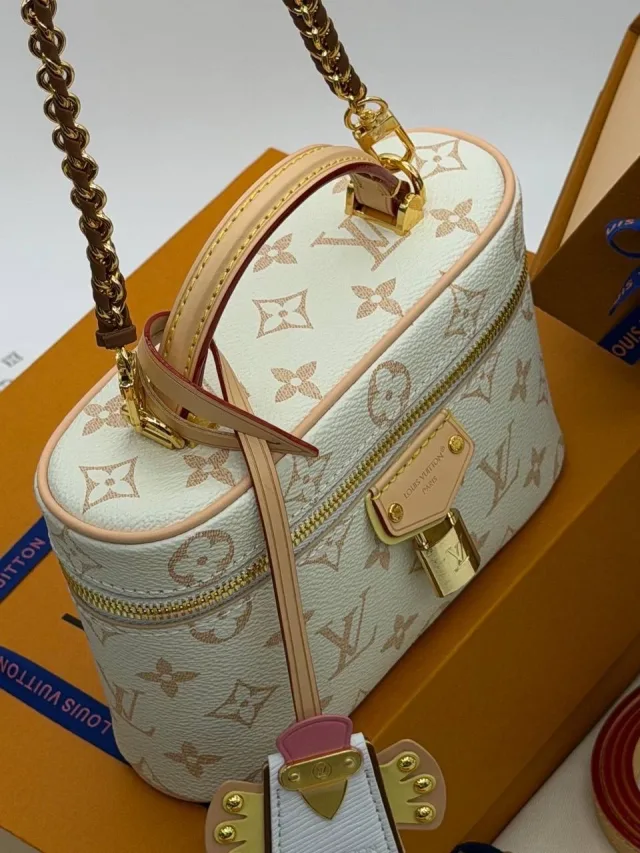 Louis Vuitton Vanity Chain Pouch