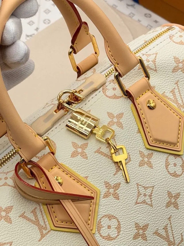 Louis Vuitton Speedy Bandoulière 25