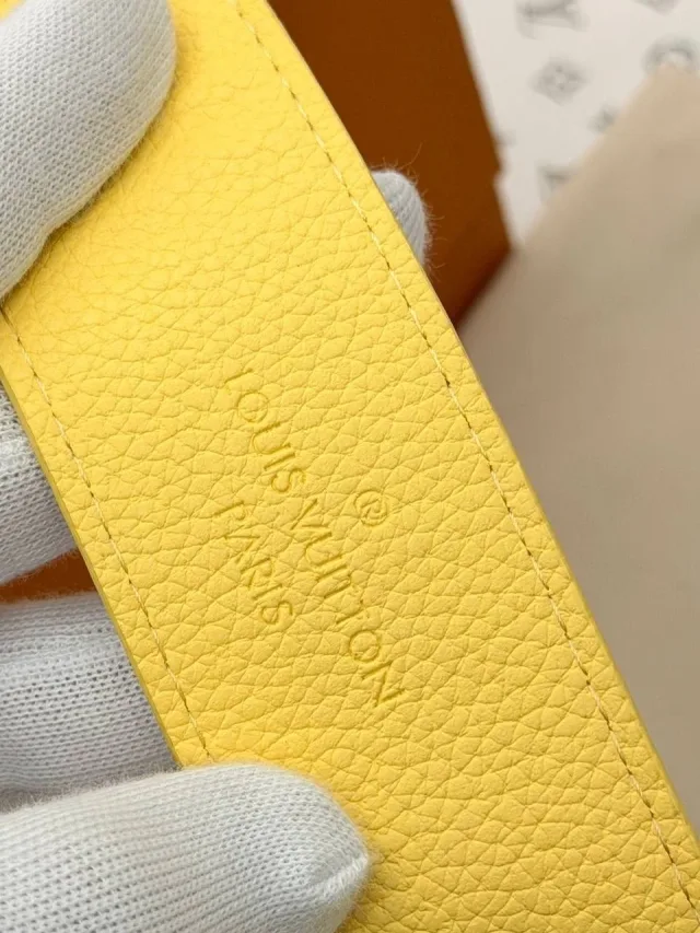 Louis Vuitton Speedy