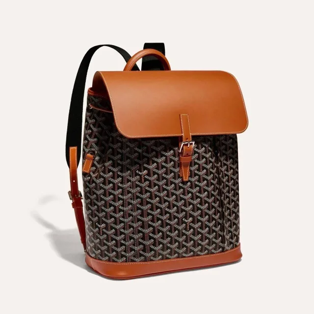 Рюкзак Goyard Alpin