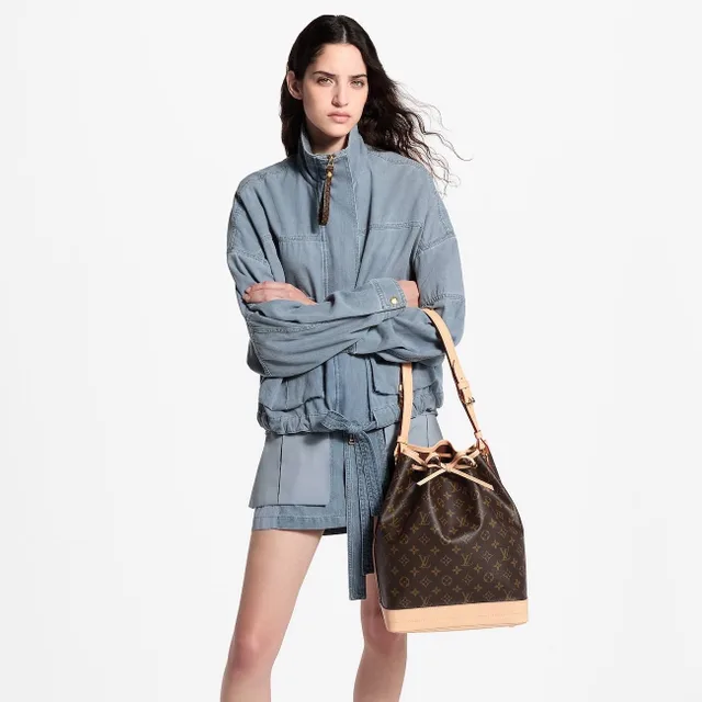 Сумка Louis Vuitton