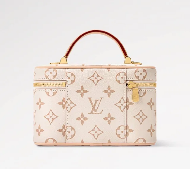 Louis Vuitton Vanity Chain Pouch