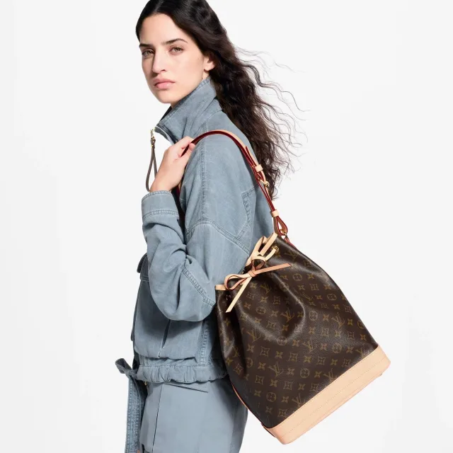 Сумка Louis Vuitton