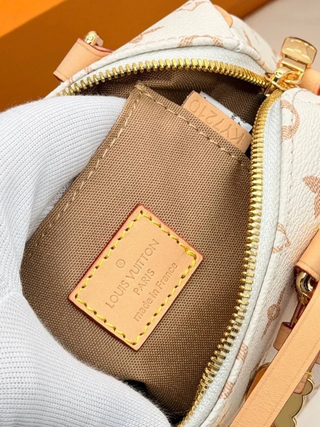 Louis Vuitton Speedy