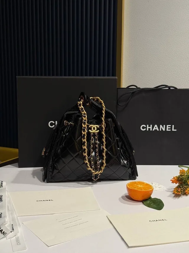Chanel Hobo Metiers dart