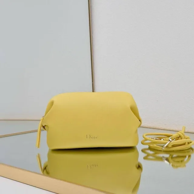 Сумка из кожи Christian Dior