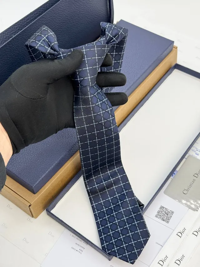 Галстук DiOR