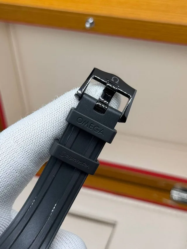 Omega Seamaster 300 Black Black