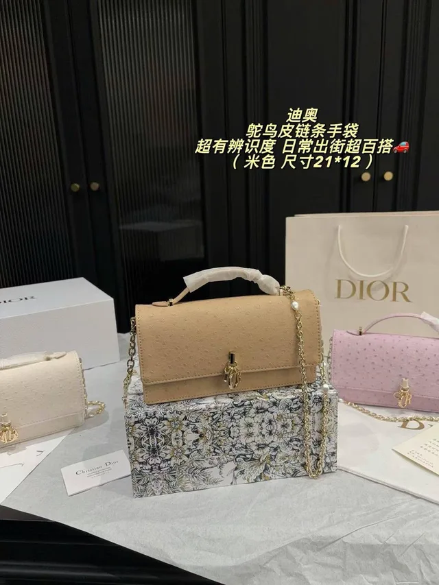 Сумка Christian Dior