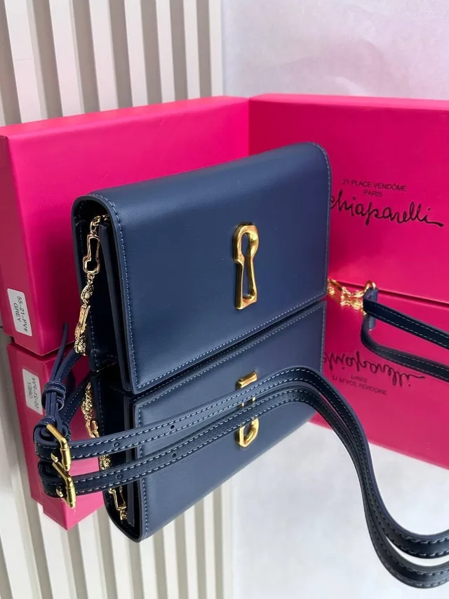 Сумка Schiaparelli