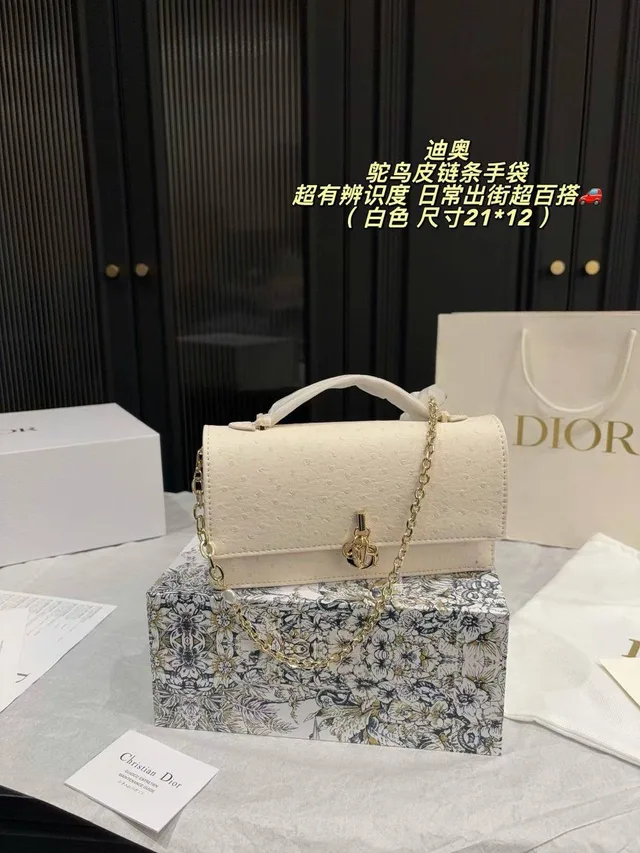 Сумка Christian Dior