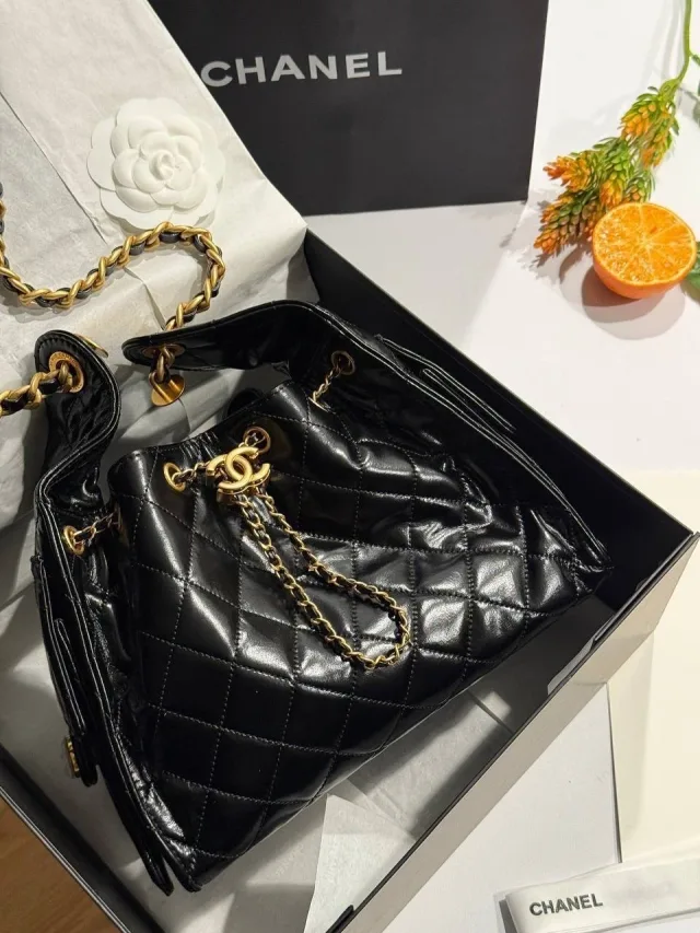 Chanel Hobo Metiers dart