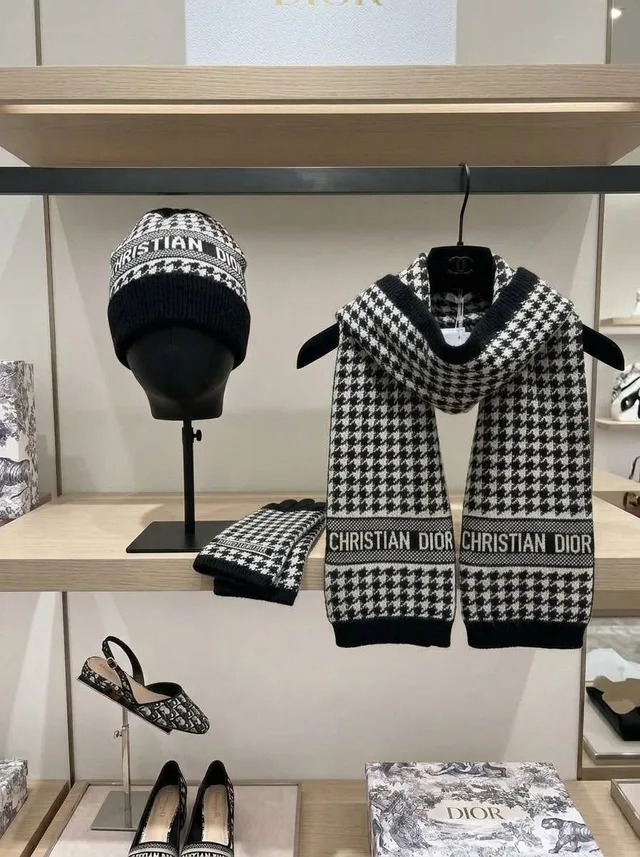 Зимний комплект Christian Dior